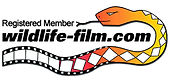 Registered Member — wildlife-film.com
